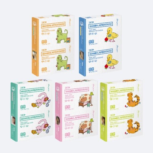 Set of colorful boxes with cartoon animal illustrations on a white background