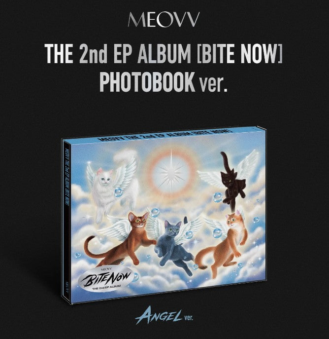 MEOVV album photobook with cat illustrations on a black background