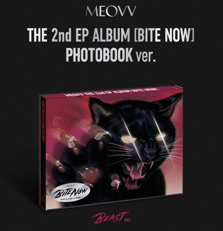 Album photobook packaging with a black cat illustration and text on a dark background