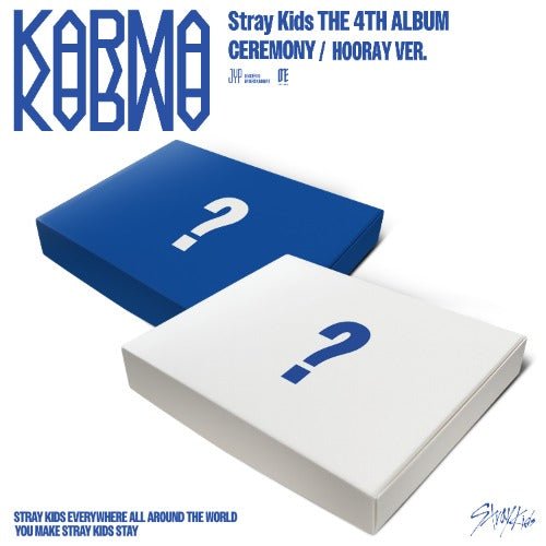 Album packaging with blue and white design featuring Stray Kids branding.